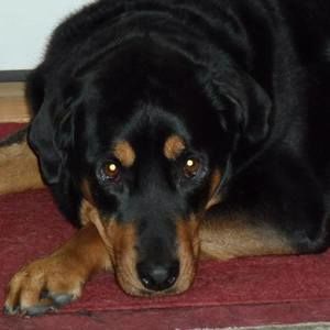 Meet your Posher, Alberta n lee